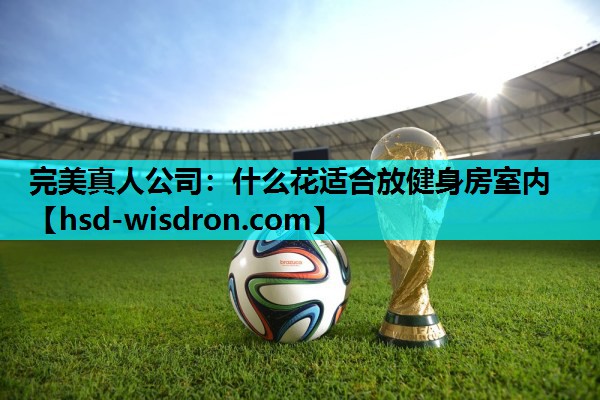 完美真人公司：什么花适合放健身房室内