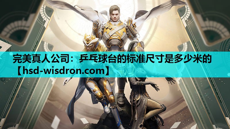 完美真人公司：乒乓球台的标准尺寸是多少米的