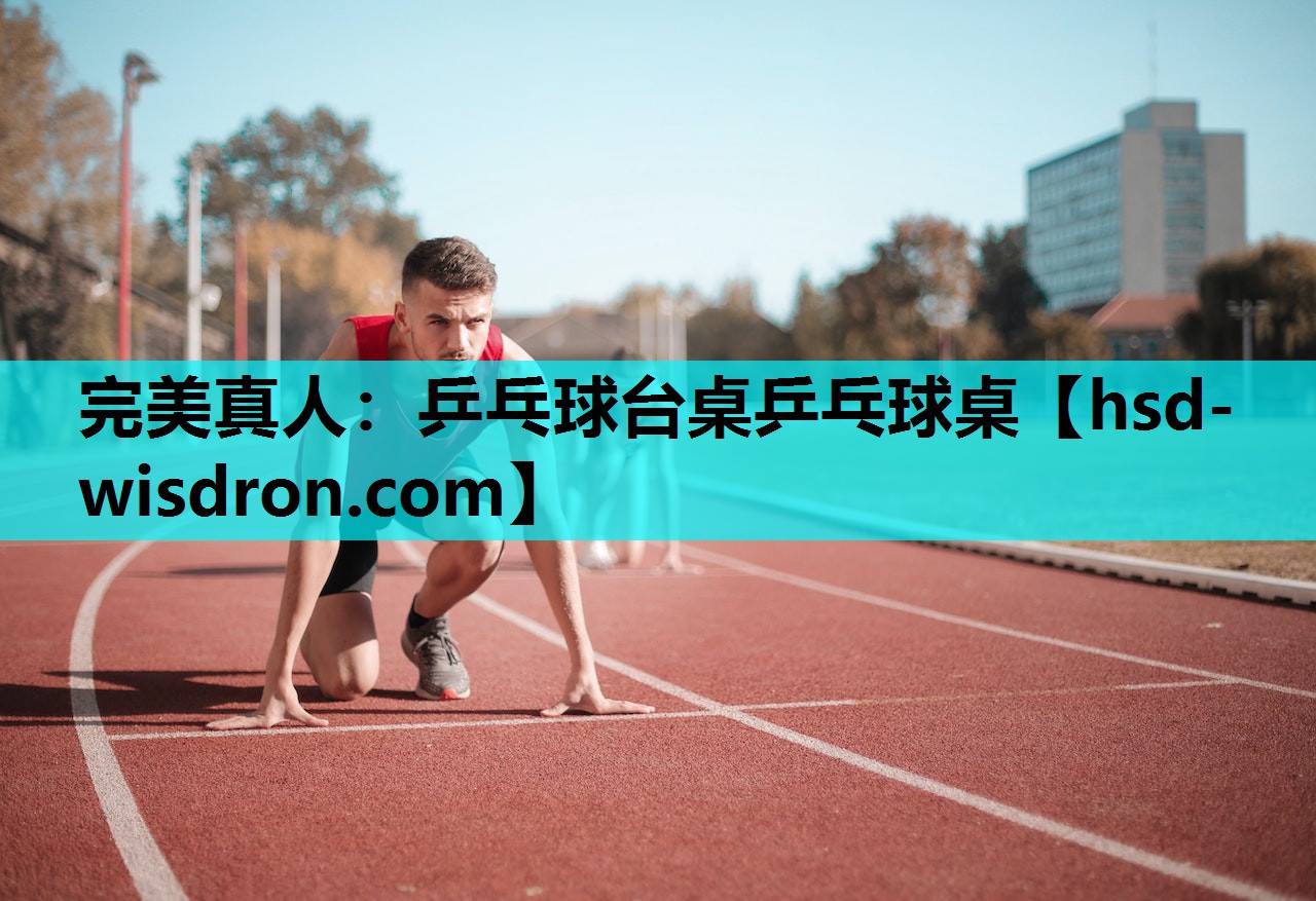 完美真人：乒乓球台桌乒乓球桌