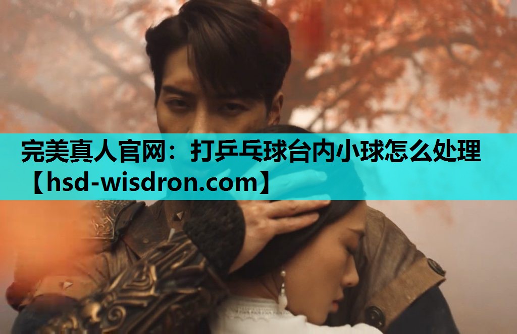 完美真人官网：打乒乓球台内小球怎么处理
