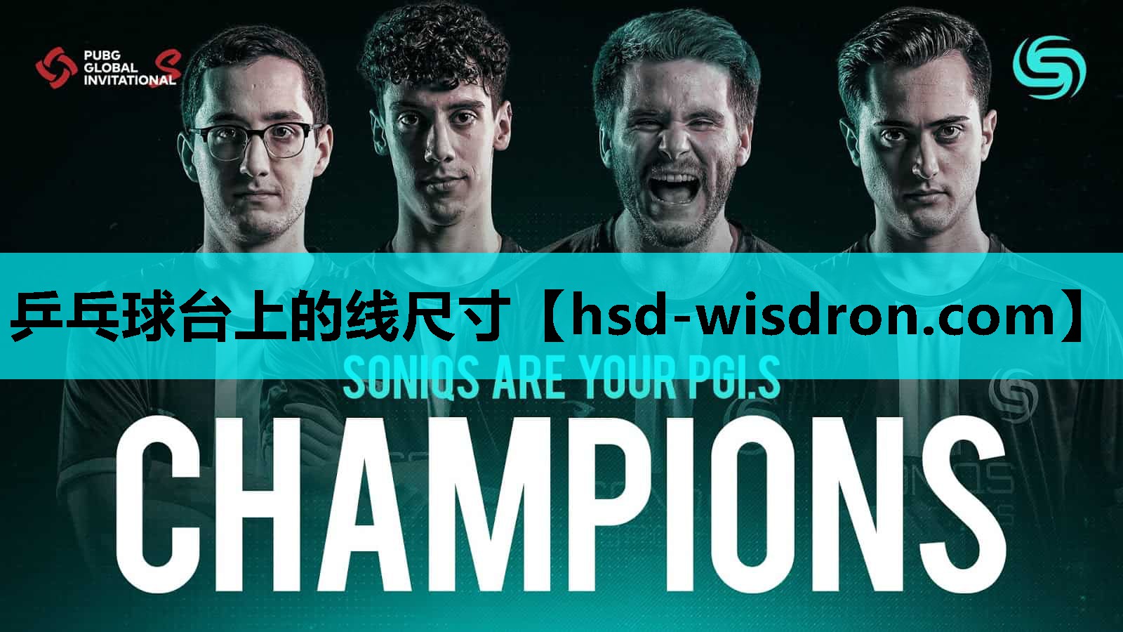 乒乓球台上的线尺寸