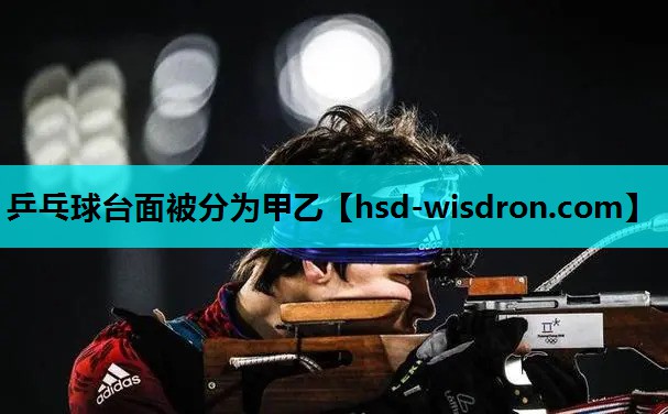 乒乓球台面被分为甲乙
