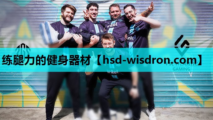练腿力的健身器材