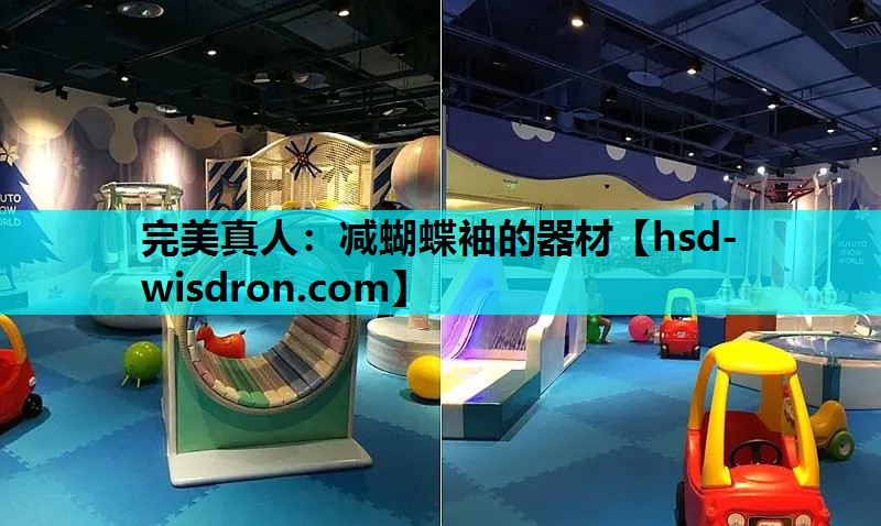 完美真人：减蝴蝶袖的器材