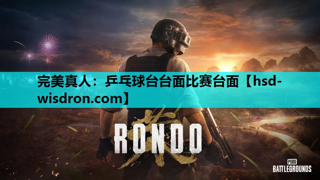 完美真人：乒乓球台台面比赛台面