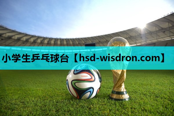 小学生乒乓球台
