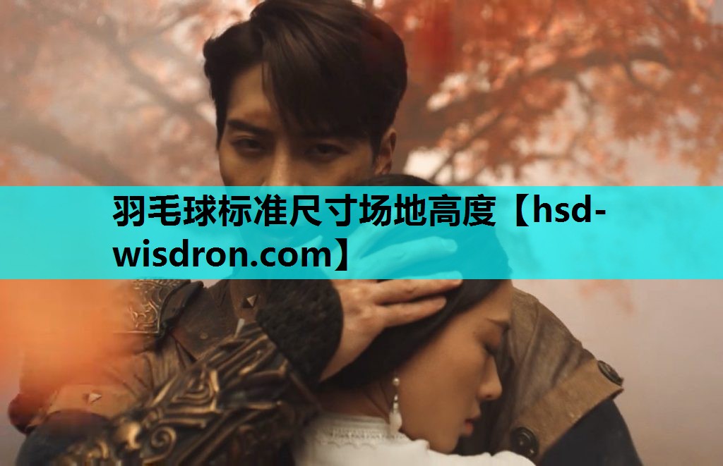 羽毛球标准尺寸场地高度