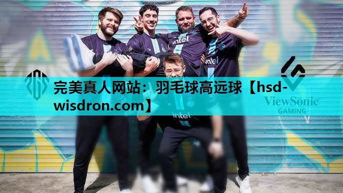 完美真人网站：羽毛球高远球