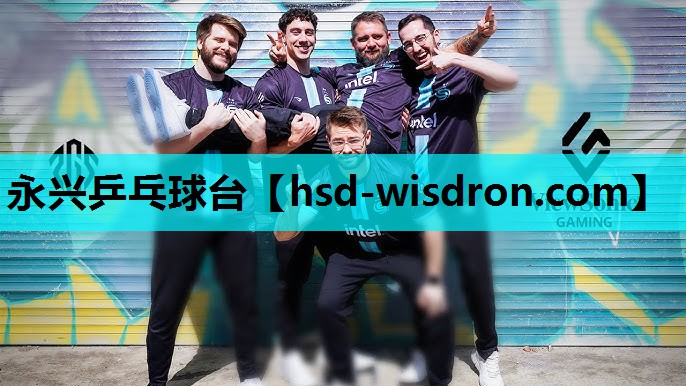 永兴乒乓球台