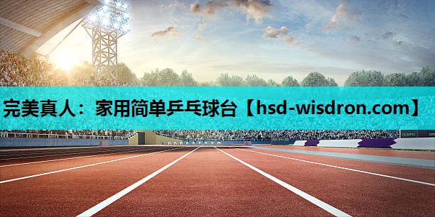 家用简单乒乓球台