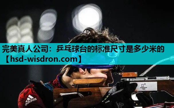 乒乓球台的标准尺寸是多少米的