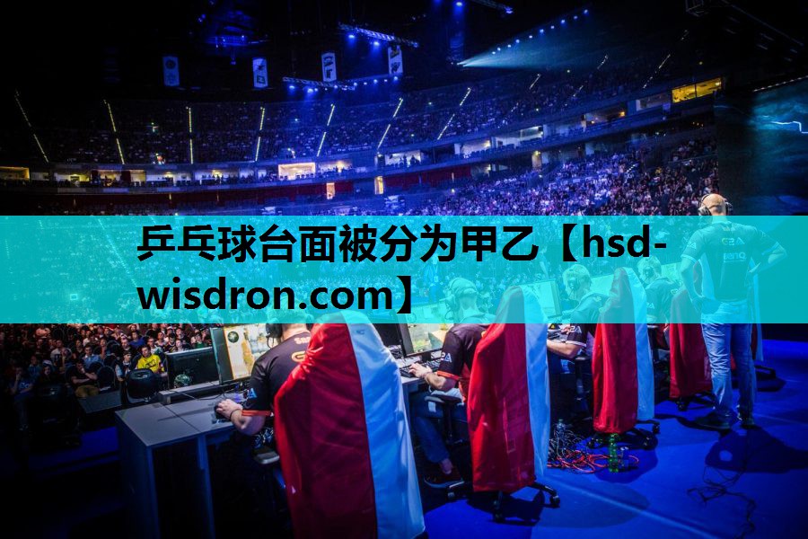 乒乓球台面被分为甲乙