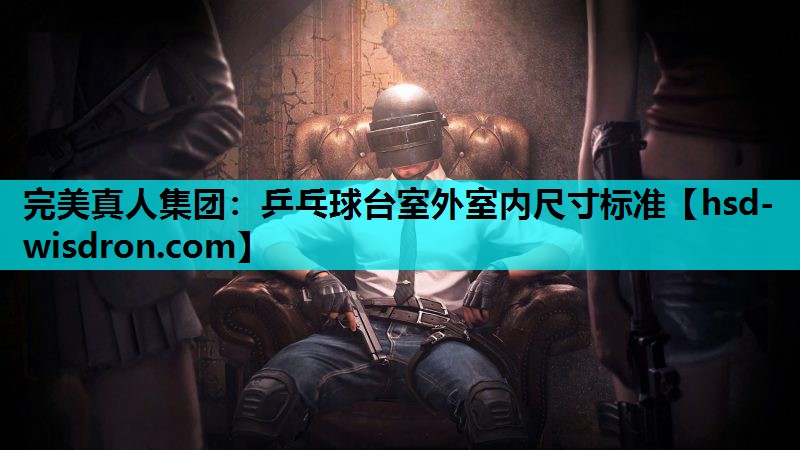 乒乓球台室外室内尺寸标准