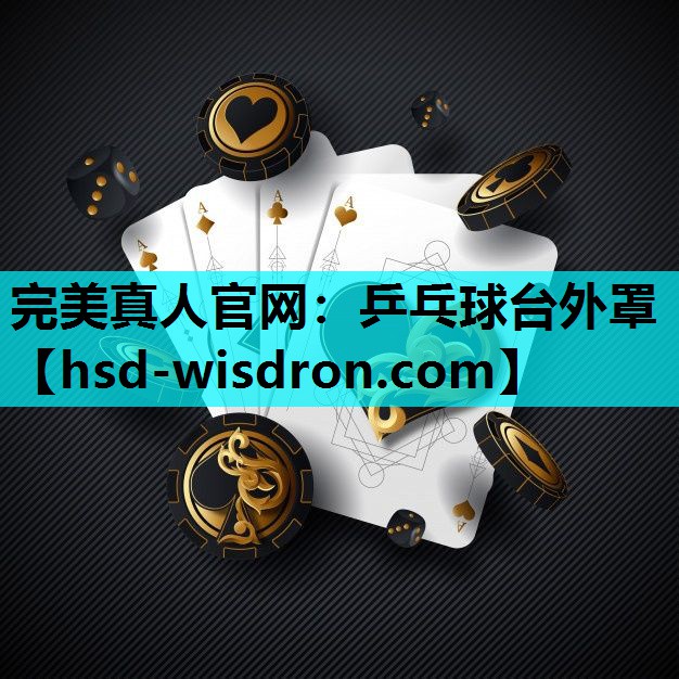 乒乓球台外罩