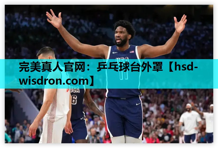 乒乓球台外罩