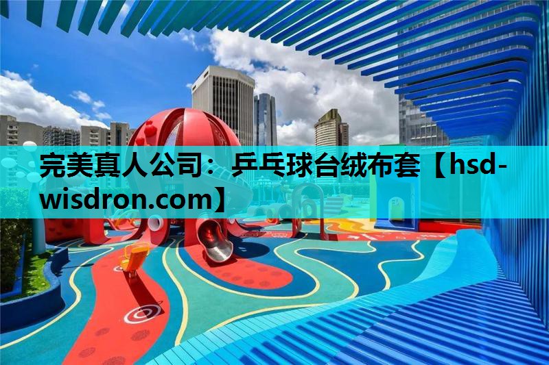 乒乓球台绒布套