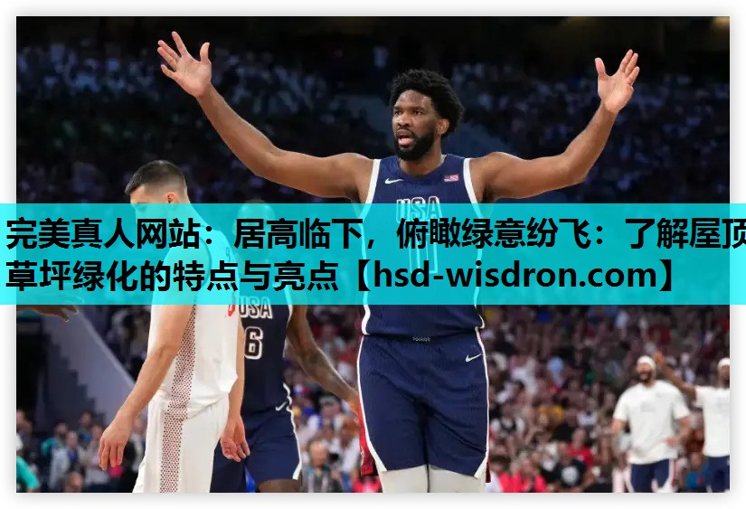 居高临下，俯瞰绿意纷飞：了解屋顶草坪绿化的特点与亮点
