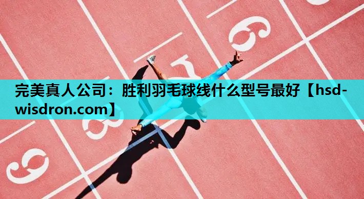 胜利羽毛球线什么型号最好