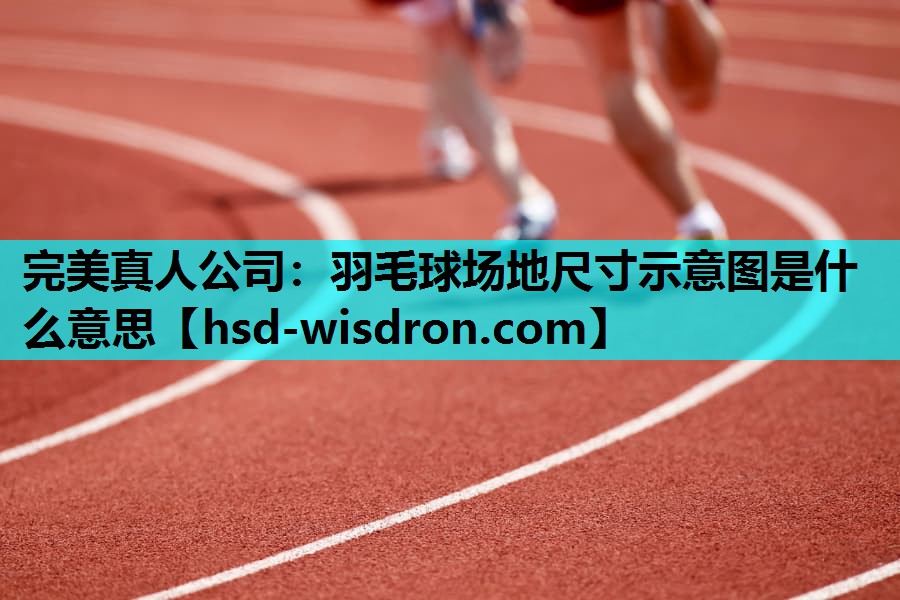 羽毛球场地尺寸示意图是什么意思