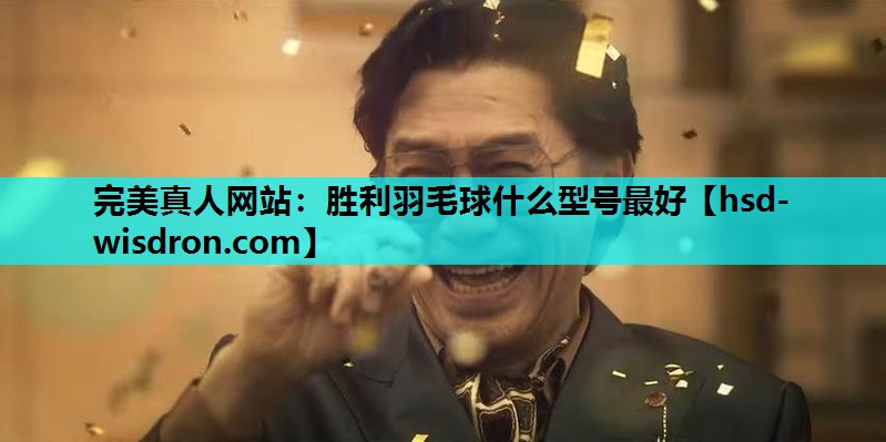 胜利羽毛球什么型号最好