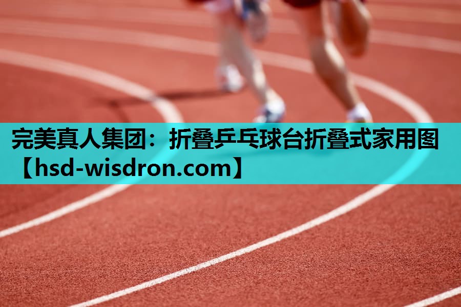 折叠乒乓球台折叠式家用图