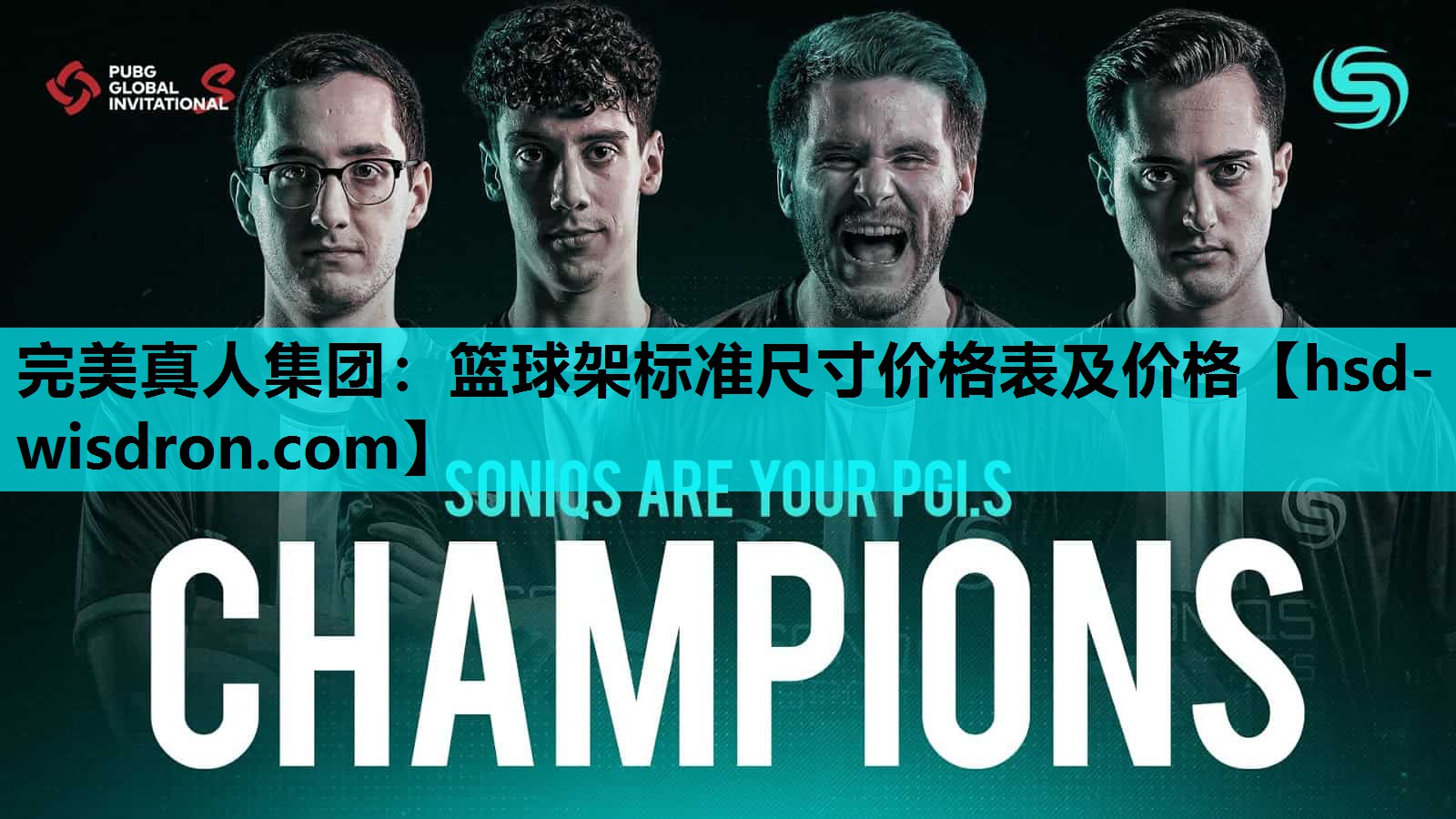 篮球架标准尺寸价格表及价格