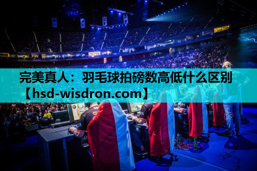 羽毛球拍磅数高低什么区别