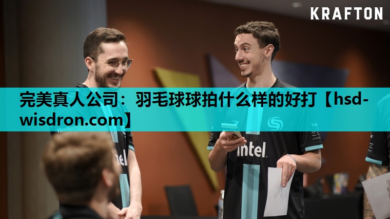 羽毛球球拍什么样的好打