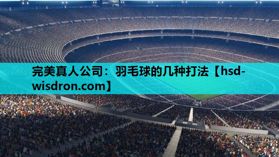 羽毛球的几种打法